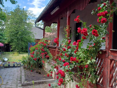 Casa Ilieni, zona centrală, în proximitatea Brașov/Sfantu Gheorghe